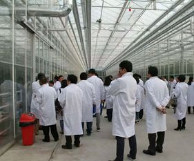 永通科技亮相京津冀，共探蔬菜工廠化生產新路徑